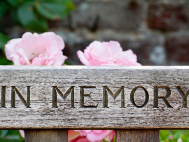 wooden fence with In Memory carved into it and pink roses in the foreground